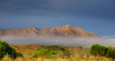 Early morning fog at Sonaran desert near Phoenixの写真素材