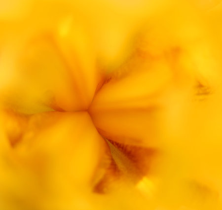  close up shot of Iris flower details