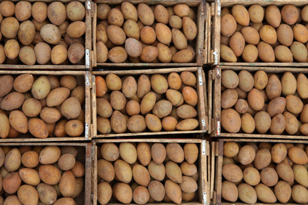 Bins of fresh Sapota fruits in the market