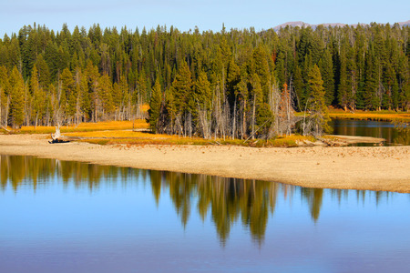 Yellowstone landscapeの写真素材