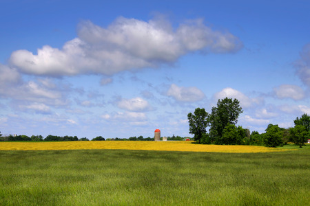 Beautiful farm landscape in Michiganの写真素材