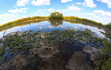 Lake Kensington in Michigan