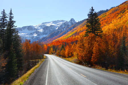 Million dollar highway