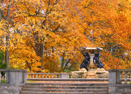 Fountain with fall treesの写真素材