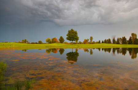 Tree reflections in the pond on a stormy dayの写真素材