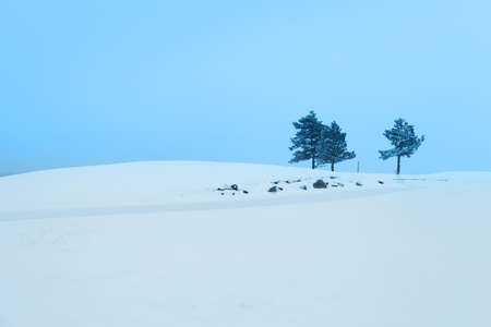 Winter landscape with big snowの写真素材