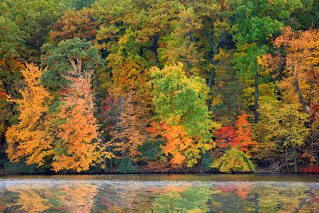 Bright autumn trees and its reflectionsの写真素材