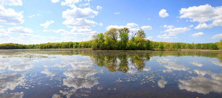 Panoramic view of perfect reflective lake