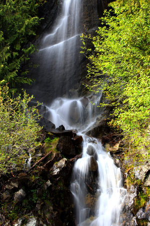 water falls in Mount Rainier national park