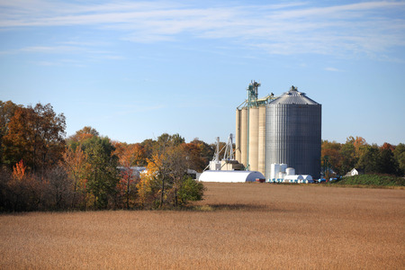 Tall silos in the farm during harvest timeの写真素材