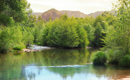 Oak creek near Sedonaの写真素材