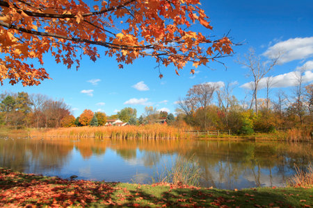 Beautiful autumn scenery in Michigan