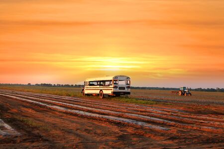 Old bus in the middle of farmの写真素材