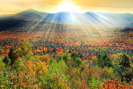 White mountain national forest landscape in autumn time with sun raysの写真素材