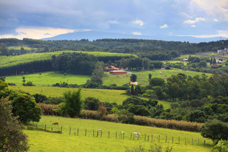 Scenic rural landscape in Brazil