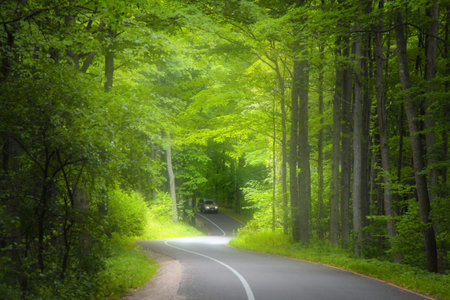 Scenic forest road in Washington stateの写真素材