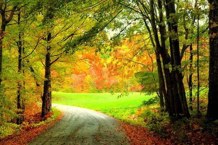 Scenic rural autumn drive in Vermontの写真素材