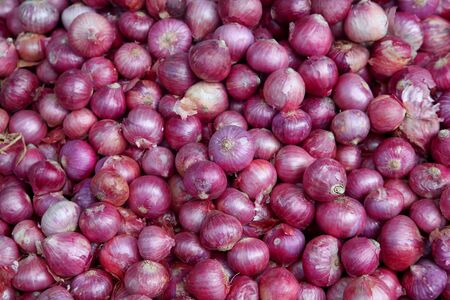 Red onions for sale in the marketの写真素材