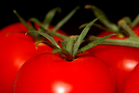 Extreme close up shot of Tomatoes on veinの写真素材