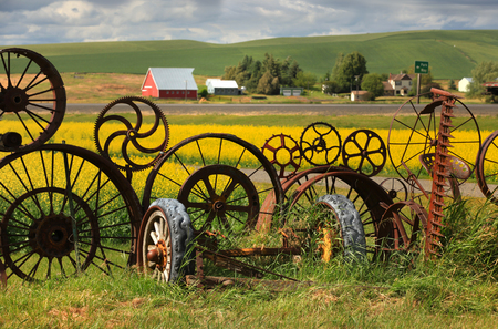 Fence of wheel rims against rapeseedの写真素材