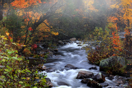 Water falls in rural Vermont in autumn time
