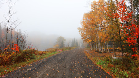 Scenic road through Quebec countryside in autumn timeの写真素材