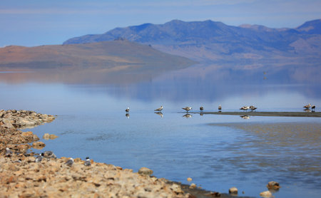 Antelope Island State Park in Utah
