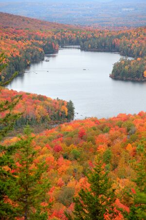 Scenic view of Groton national forest in Vermont,during autumn timeの写真素材