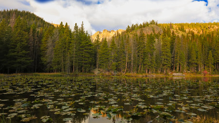 Scenic Nymph lake in Rocky mountain national park, Colorado under sun rise