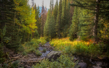 Scenic landscape near Dream lake in Rocky mountain national park
