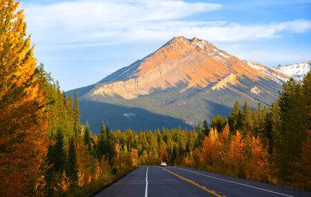 Scenic Icefields parkway in twilight at Jasper national park Canada,also seen Mount Edith Cavellの写真素材