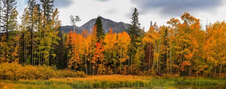 Panoramic view of scenic landscape in autumn time near Telluride Coloradoの写真素材