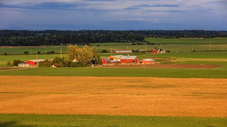 Farm view in scenic Whidbey island ,Washington stateの写真素材