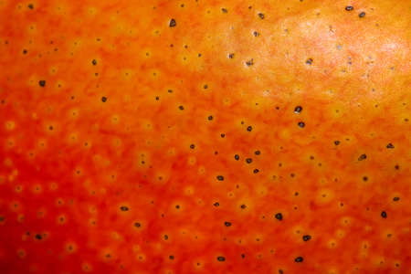 Extreme close up shot of Apple fruit outside surface for background useの写真素材