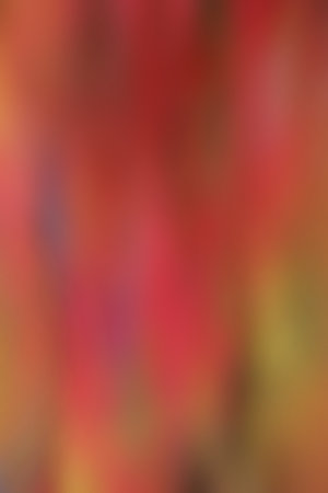 Abstract background with autumn colorsの写真素材