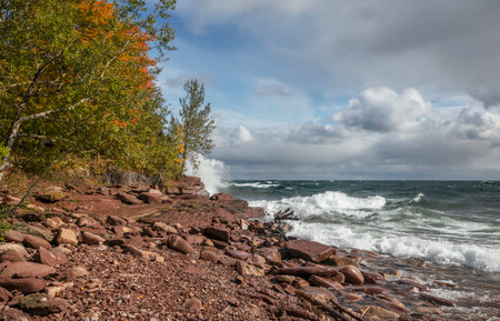 Autumn trees along scenic Superior lake shore with waves hitting rocks.の写真素材