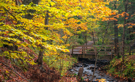 Small wooden bridge over Munising falls creek in Michigan upper peninsulaの写真素材