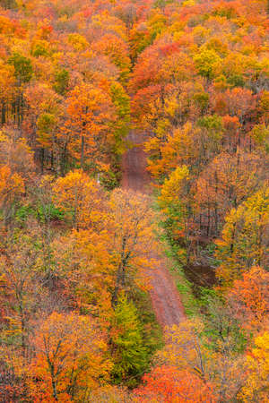 Aerial view of colorful fall foliage by the rural road in Michigan upper peninsulaの写真素材