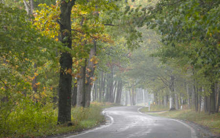 Tunnel of trees along scenic byway 119 near Harbor springs, Michigan on a misty autumn day.の写真素材