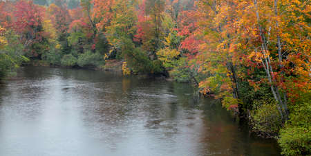 Colorful autumn trees by the lake on a rainy dayの写真素材