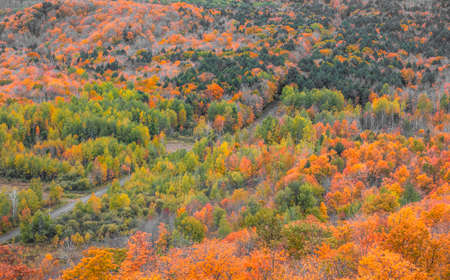 Aerial view of colorful autumn trees in Black river national forest from Copper peak in Michigan upper peninsulaの写真素材