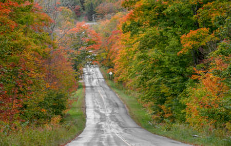 Colorful autumn trees by rural road in Michiganの写真素材