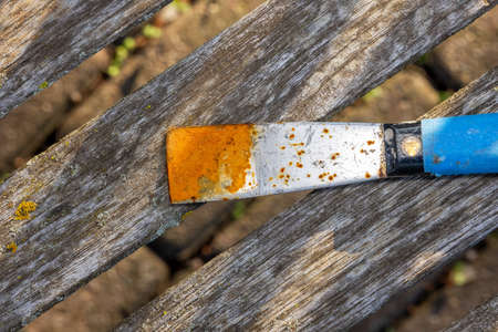 Close up shot of rusty scraping tool on a benchの写真素材