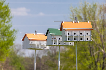 Three large bird houses on the posts , selective focus.の写真素材