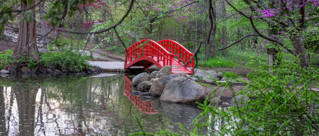 Panoramic view of red garden bridge in Japanese garden in Cranbrook gardens, Michigan.の写真素材