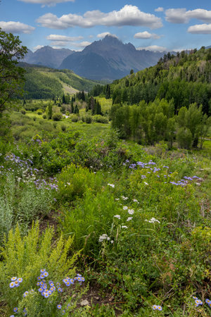 Scenic Mt Sneffels at Continental divide from scenic by way dirt road 7 near Ridgeway Coloradoの写真素材