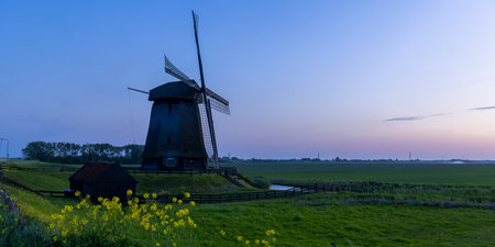 Historic windmill near Schemerhorn in Netherlands under evening light.の写真素材