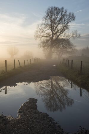 landscape in fogの写真素材