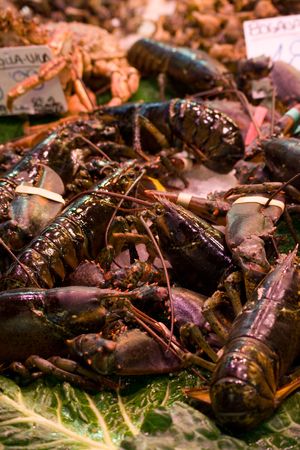 Fresh seafood at fish marketの写真素材