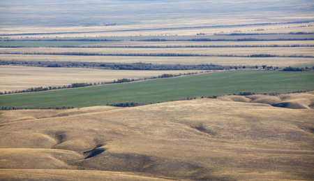Landscape, kind from height of the bird's flight, the earth